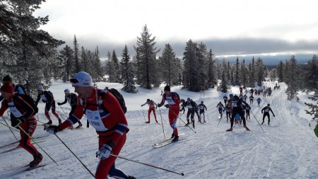 Birkebeinerrennet a lyžařský orgasmus v Sjusjoenu