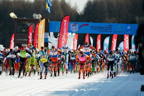 China Vasaloppet, Pustertaler Ski-Marathon, VŠ liga