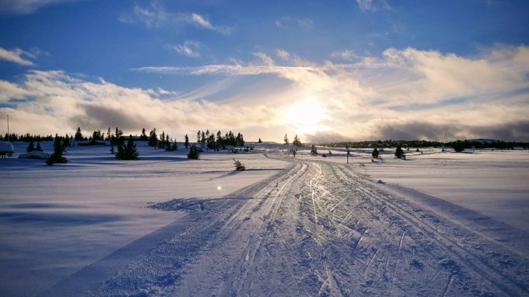 Birkenbeinerrennet – 12. závod Ski Classics